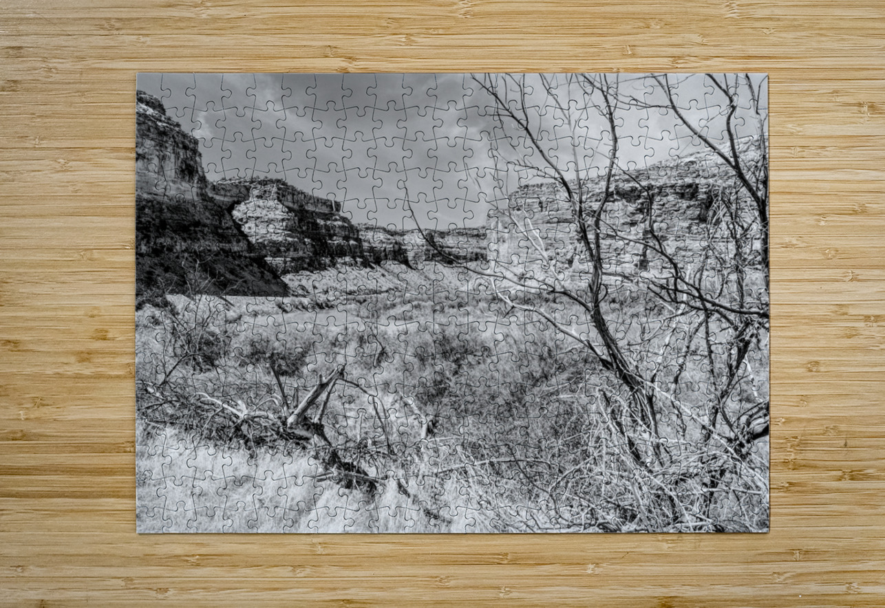 Dead Tree Colorado River Utah Grayscale Jennifer White Puzzle printing