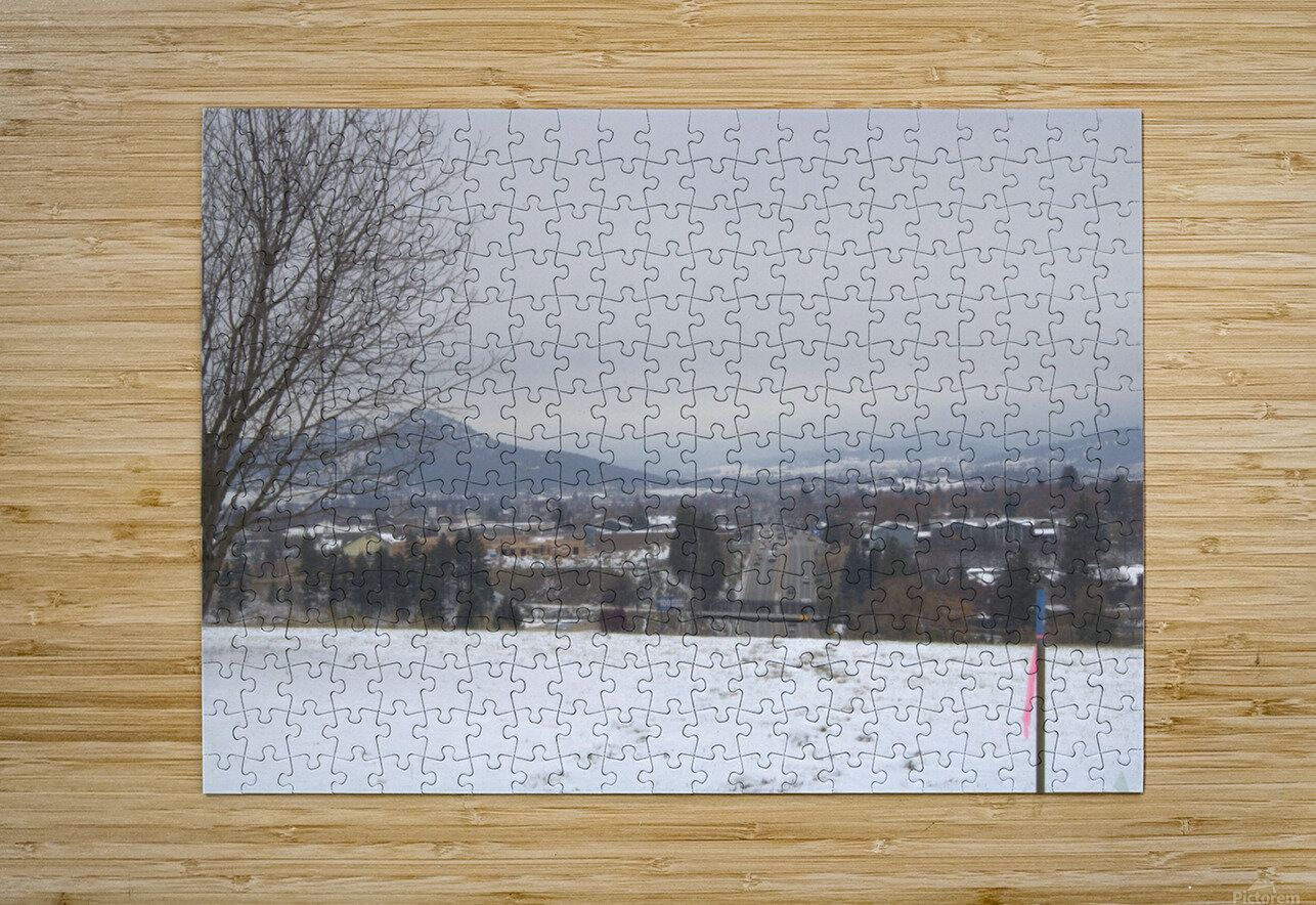 A better view Dustin Rogers Puzzle printing