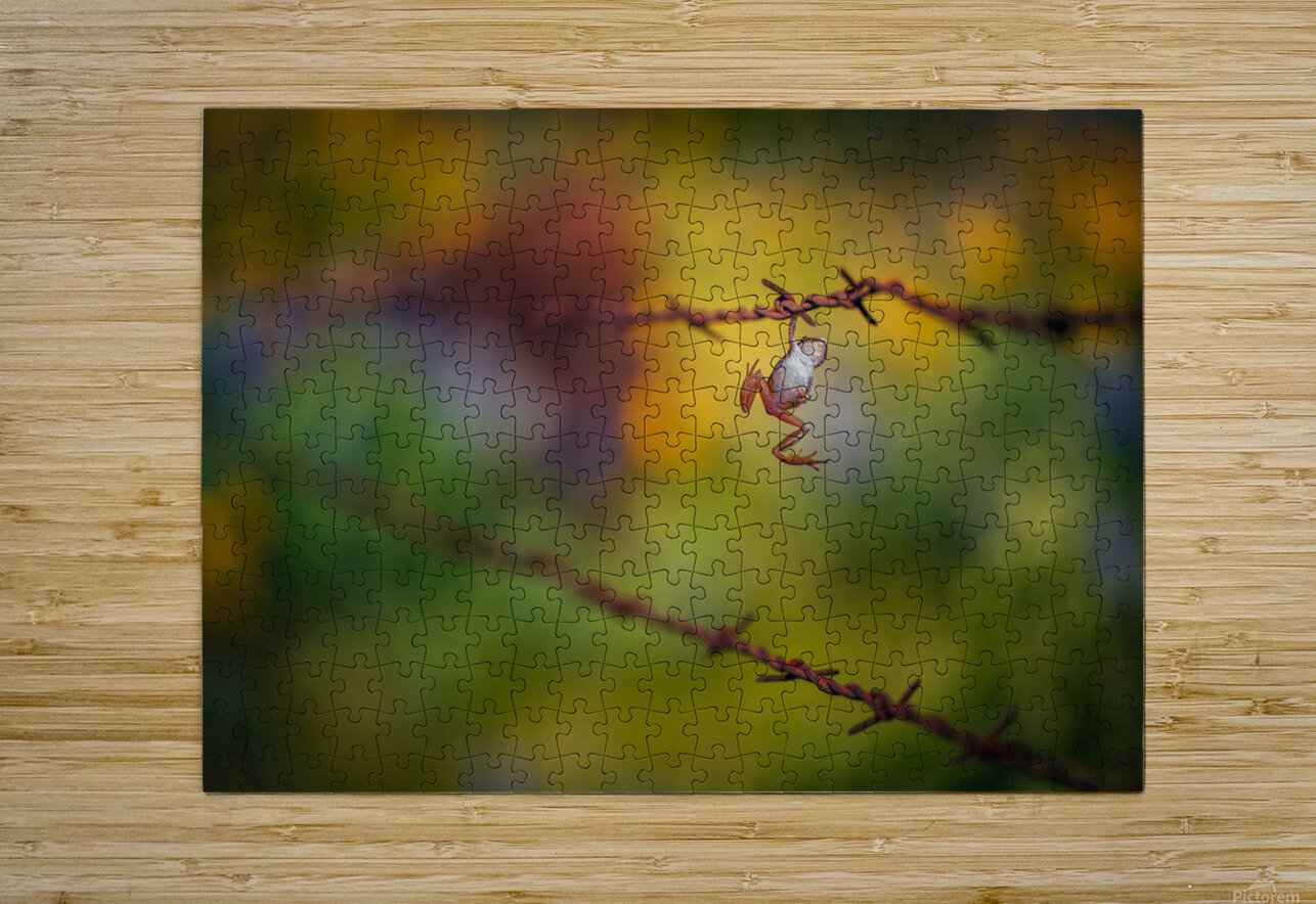 Hang In There  Erin Kirsten Puzzle printing