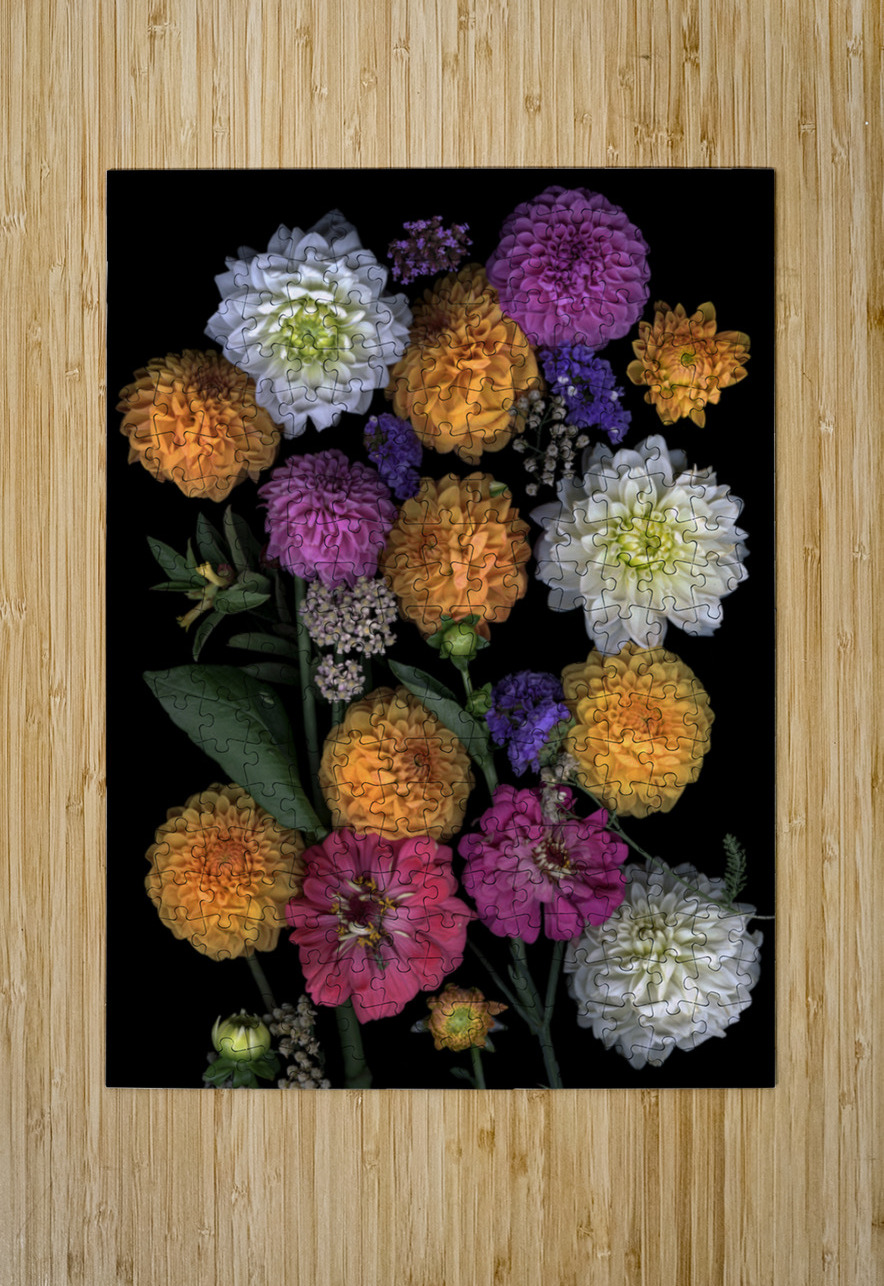 Multi color Dahlias   Jane Baron Puzzle printing