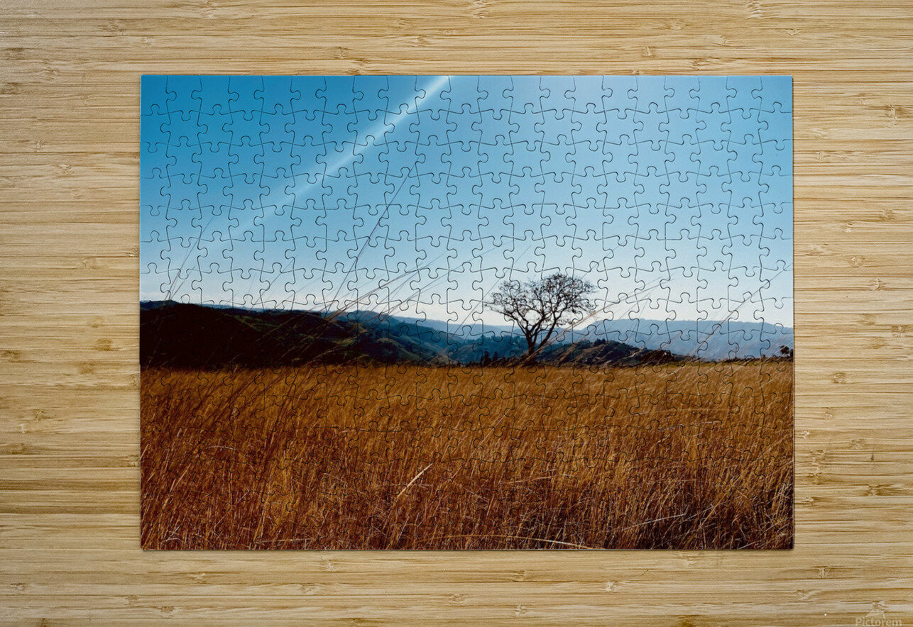 IMG 1198 Justin Crewe Puzzle printing