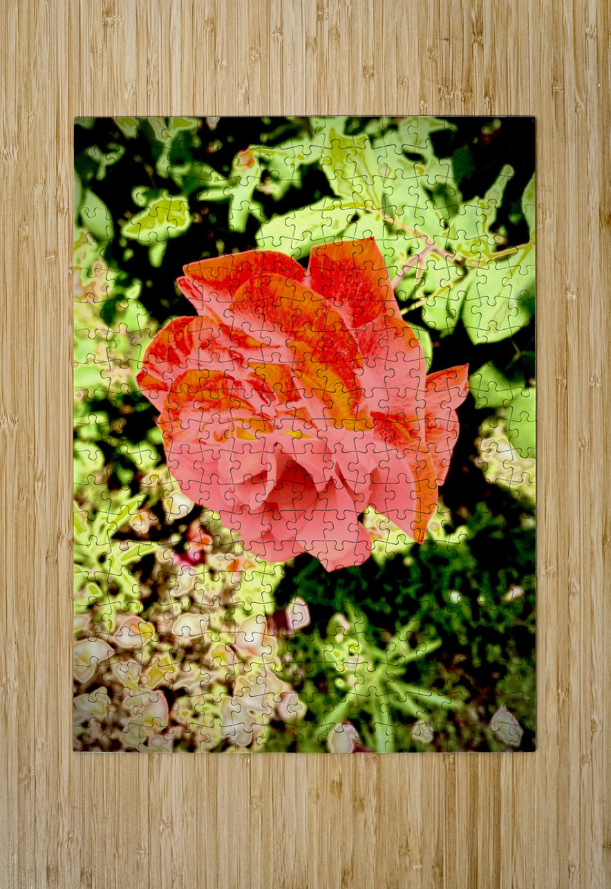 Pop Flower Greg Boatright Art Puzzle printing