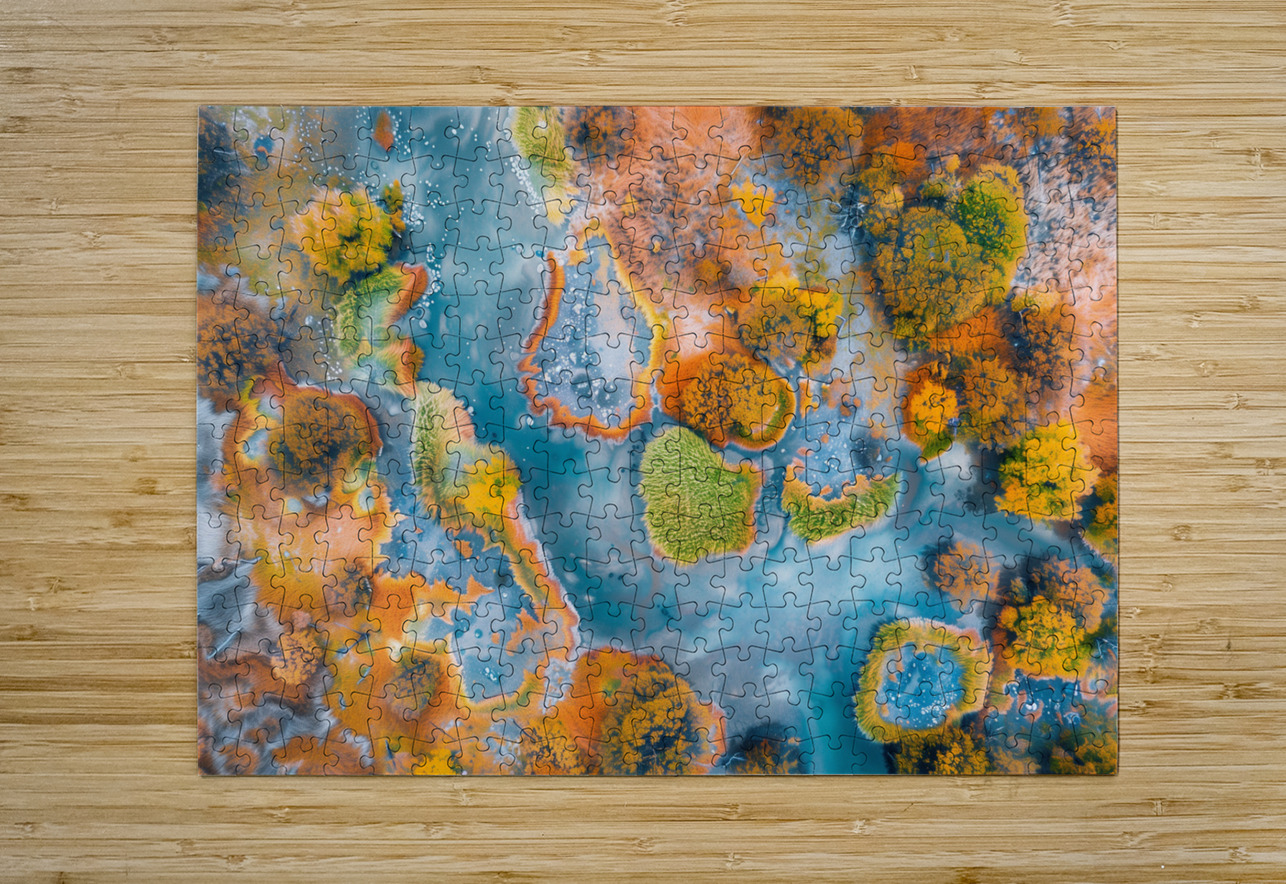 Aerial View of Multicolored autumn in wetlands  2 ASAR STUDIOS Puzzle printing