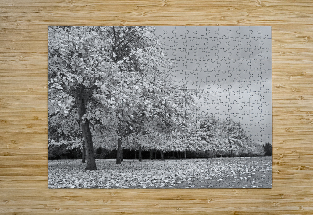 Autumn Days in Mono Gill Billington Puzzle printing