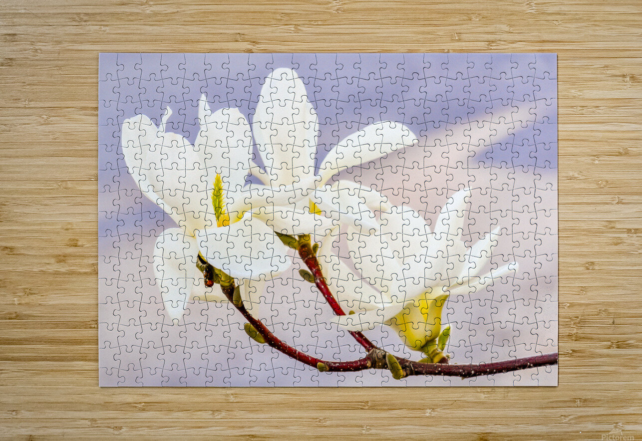 Magnolias Teri Hansen Puzzle printing