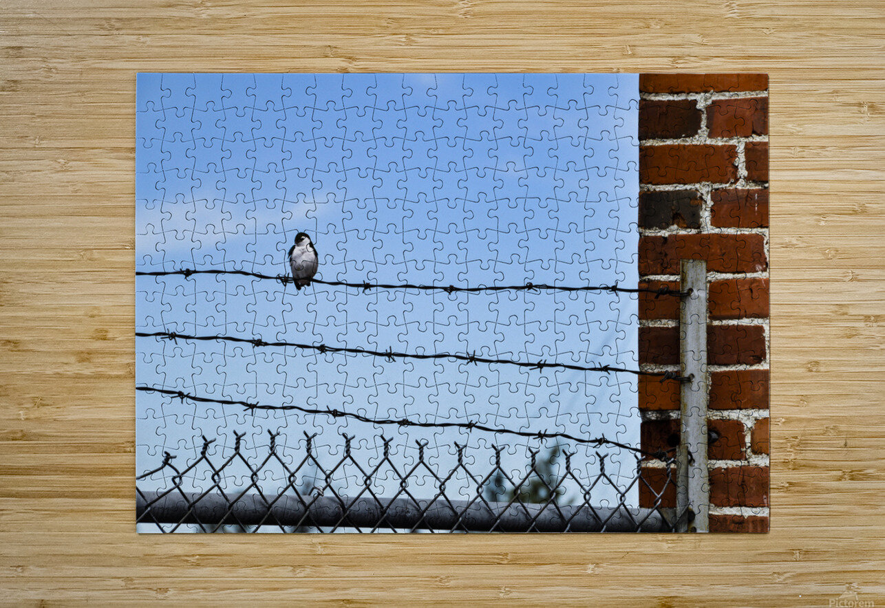 Bird on a Wire Teri Hansen Puzzle printing