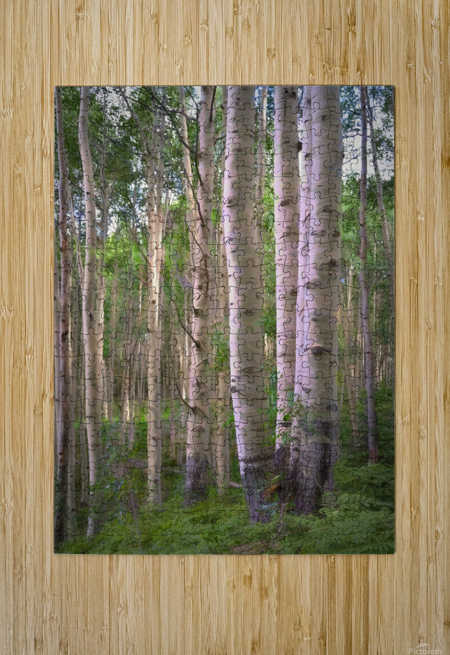 Colorado Landscapes 27 Jodie Minnillo Photography Puzzle printing