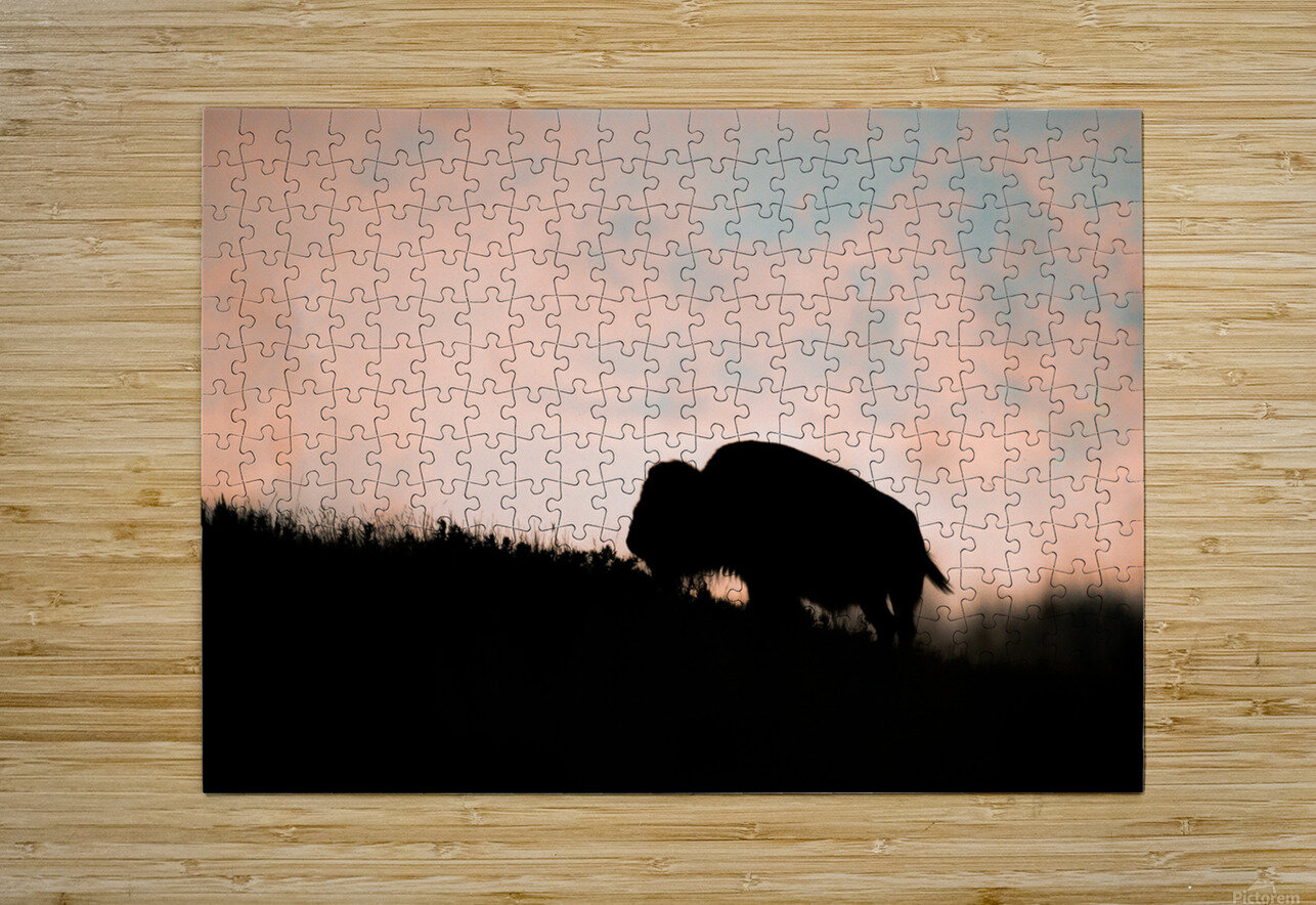 DSC00433 Enhanced SR Crow Peak Photography Puzzle printing