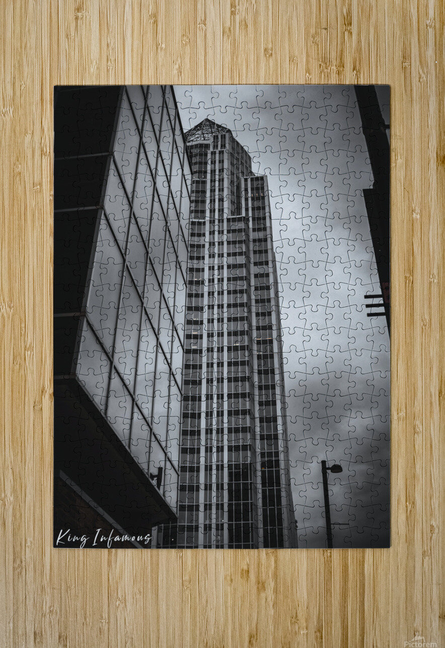 DSC03051 King Infamous Photography Puzzle printing