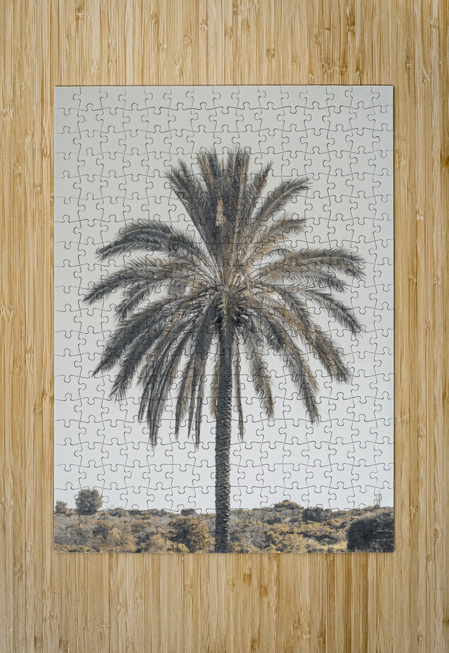 Palm Tree Assaf Frank Puzzle printing