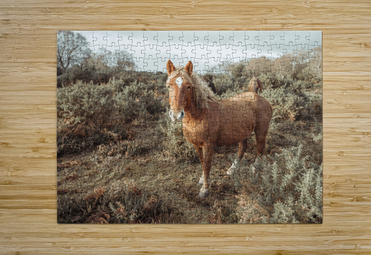 Graceful Wanderer Assaf Frank Puzzle printing