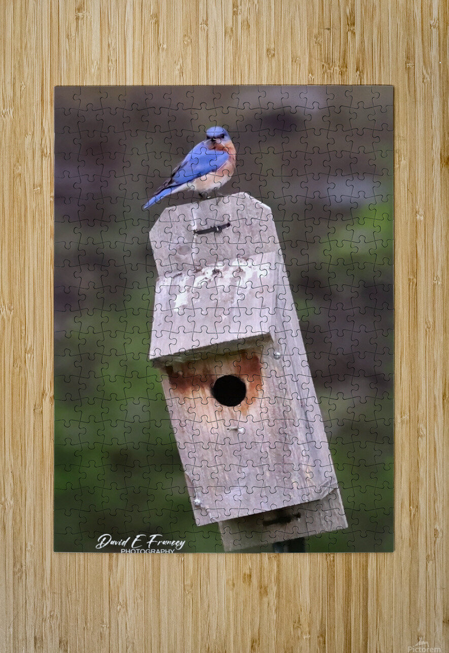 CR5 5699 Photography by Francey Puzzle printing