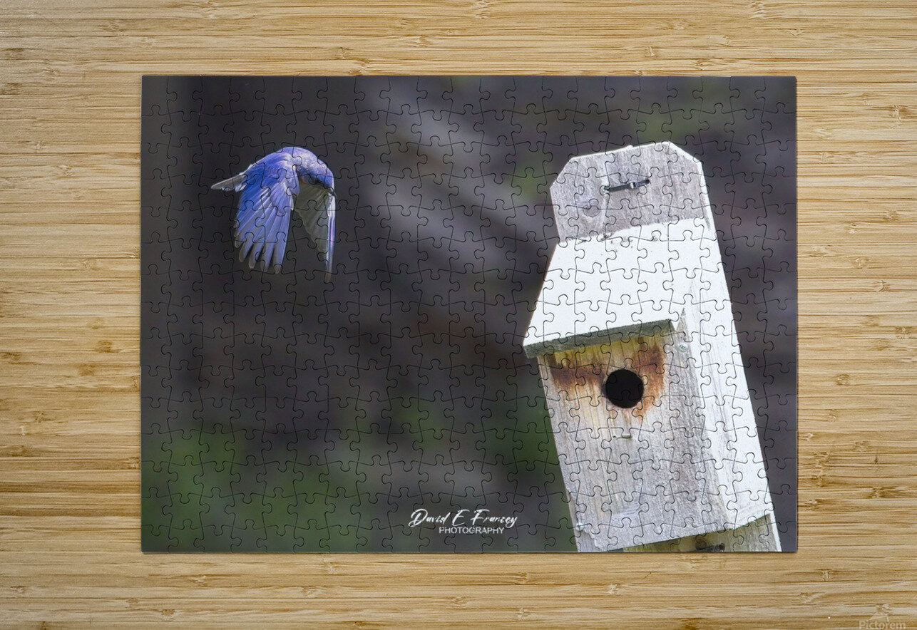 CR5 8111 Photography by Francey Puzzle printing