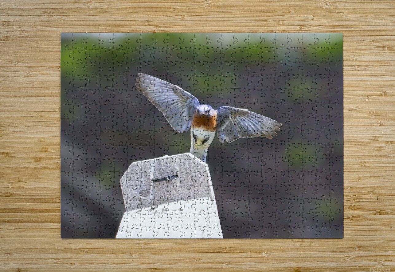 CR5 8076 Photography by Francey Puzzle printing