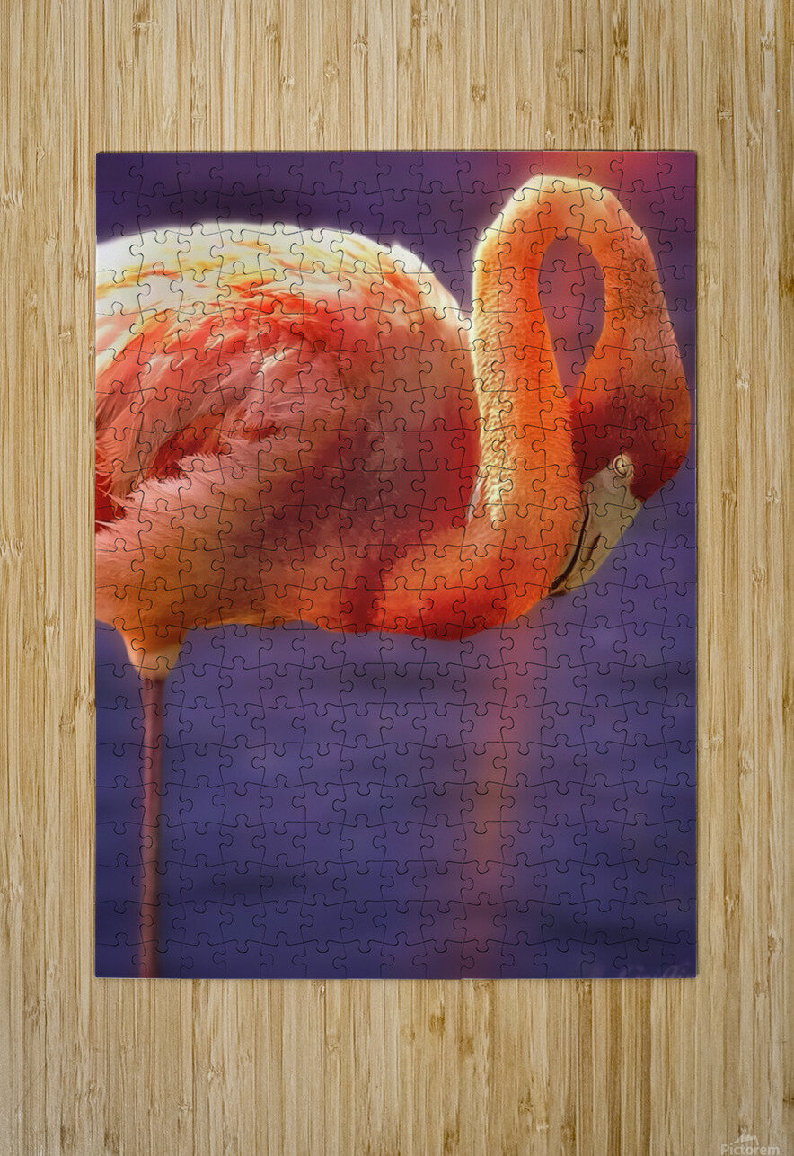 Flamingo sunset 2 L Griffin Photography Puzzle printing