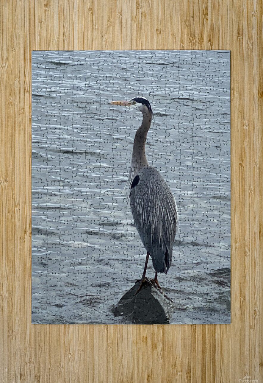 BlueHeronPR Griffstone Puzzle printing