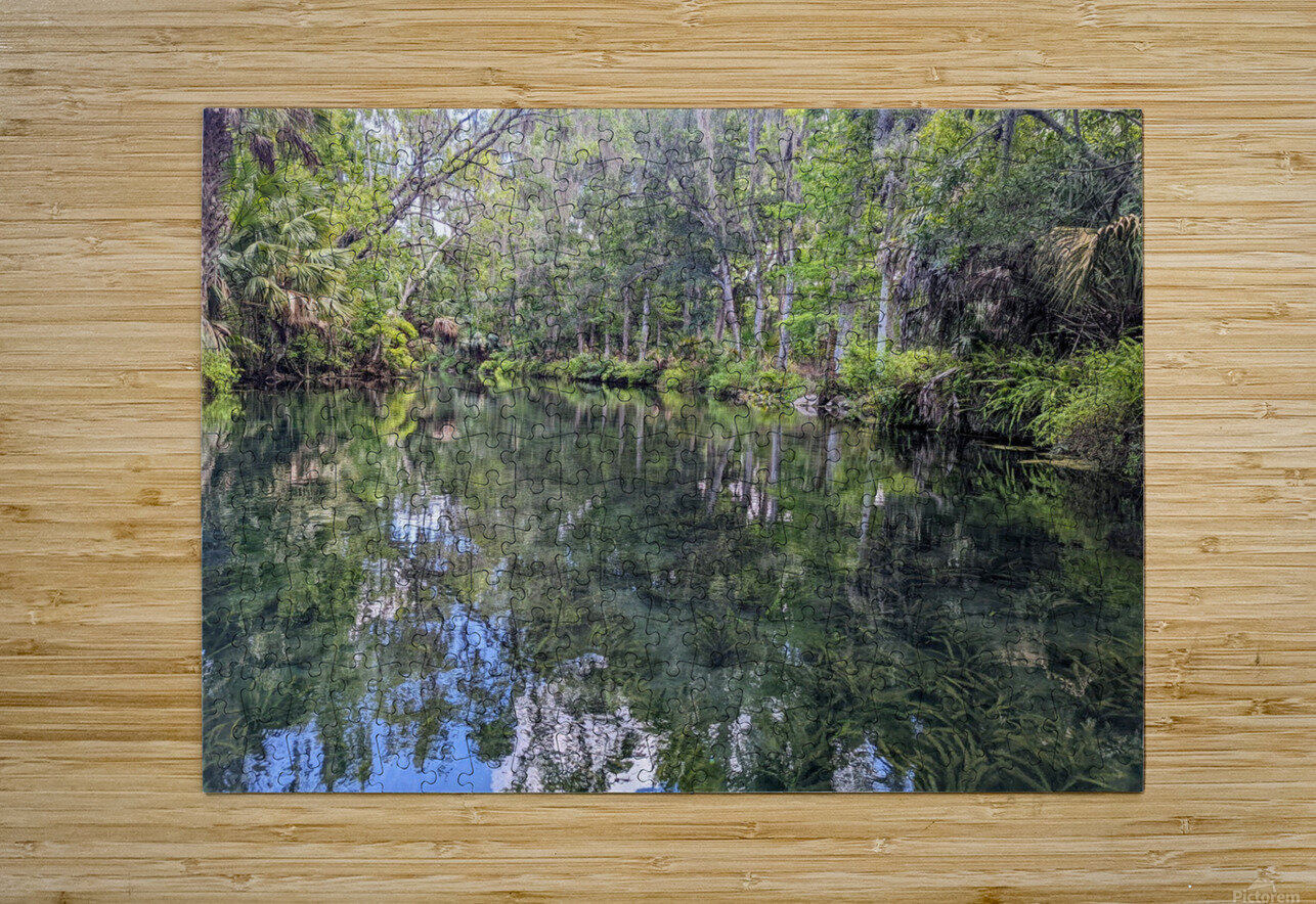 Silver Springs Dan Booth Puzzle printing