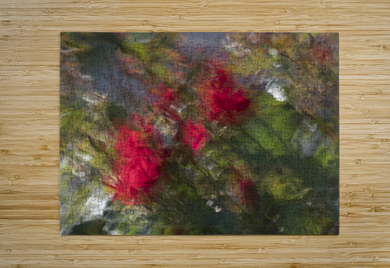 20240615 207 FOTOSQUARES COM Puzzle printing