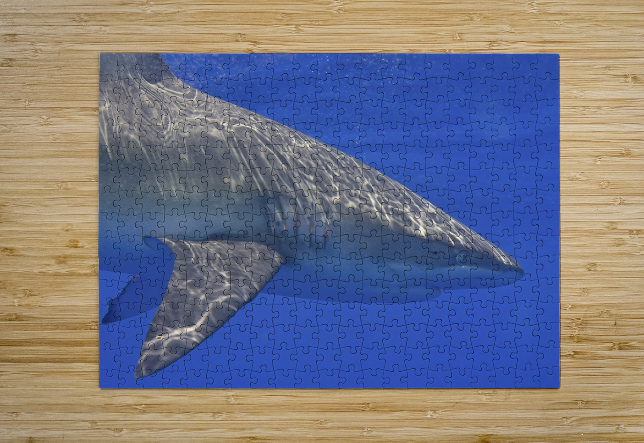 Circle DeepEarth Photography Puzzle printing