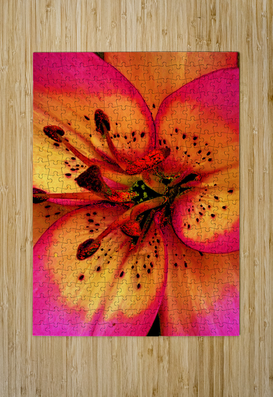 Abstract Close Up Lily Flower Catriona Roberts Nature Photography and Designs Puzzle printing