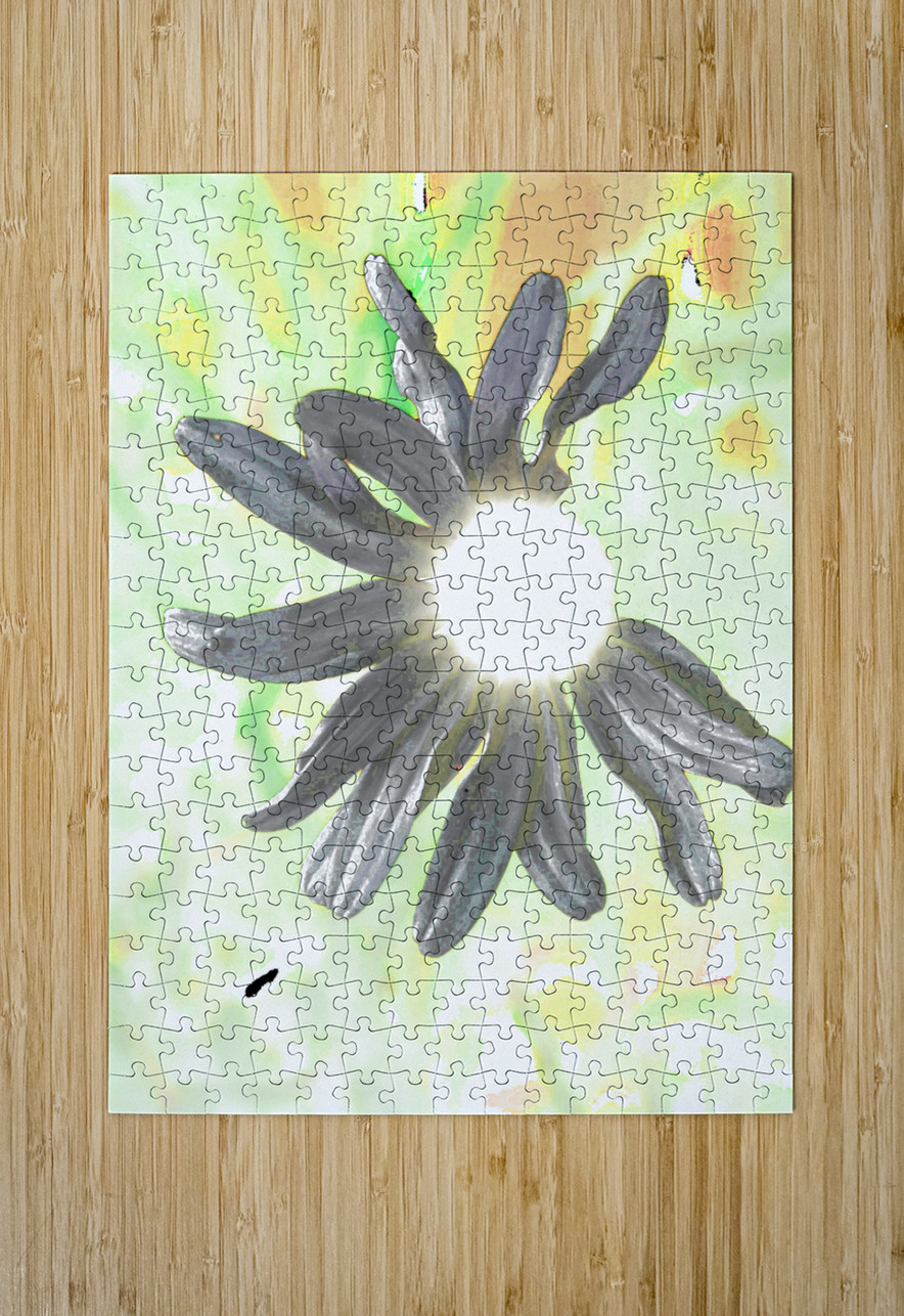  Abstract Daisy Sunbeam Catriona Roberts Nature Photography and Designs Puzzle printing