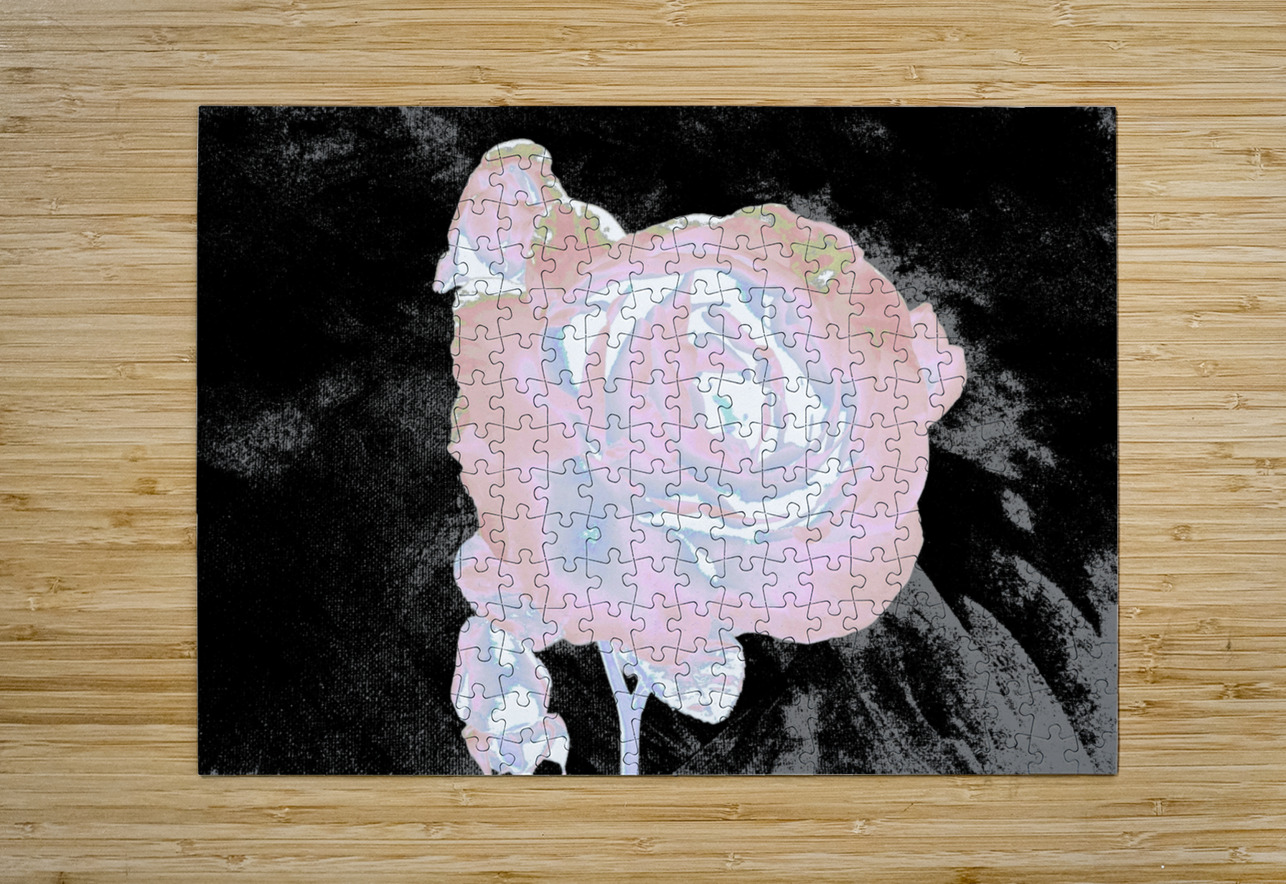 Abstract Ethereal Rose on a Dark Abstract Background  Catriona Roberts Nature Photography and Designs Puzzle printing