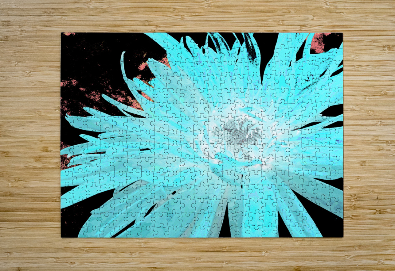 Abstract Turquoise Daisy Flower Catriona Roberts Nature Photography and Designs Puzzle printing
