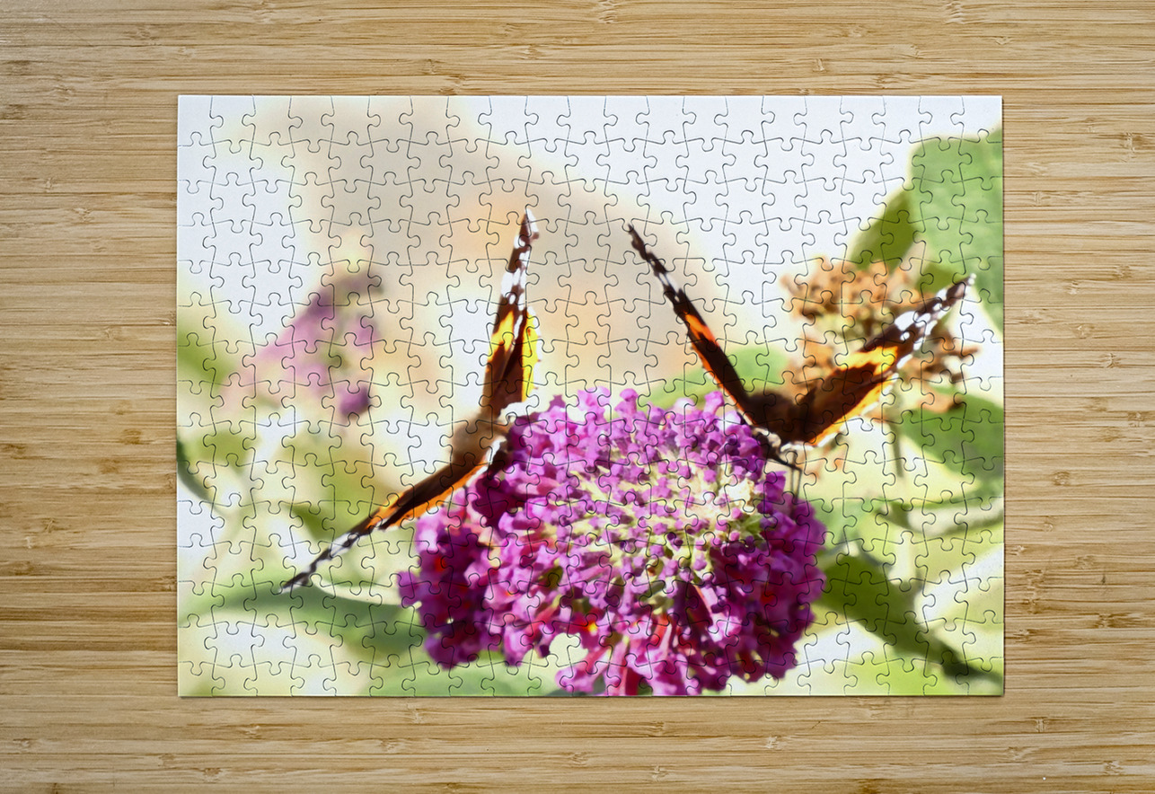 Two Butterflies on Buddleia Flowers Catriona Roberts Nature Photography and Designs Puzzle printing