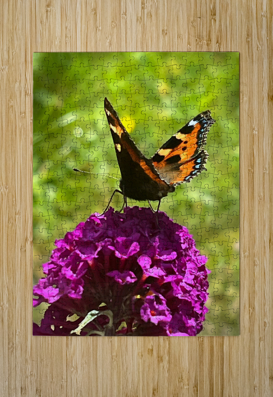 Summer Butterfly on a Butterfly Bush Catriona Roberts Nature Photography and Designs Puzzle printing