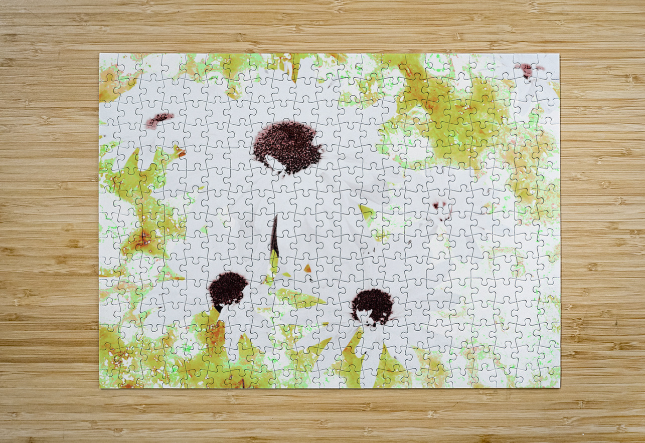  Abstract White Daises on a Green Background Catriona Roberts Nature Photography and Designs Puzzle printing