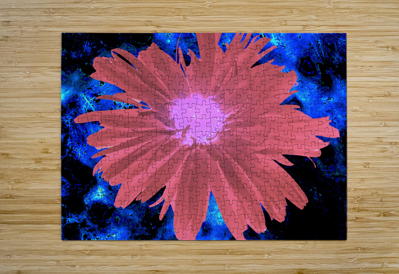 Abstract Red Daisy Catriona Roberts Nature Photography and Designs Puzzle printing
