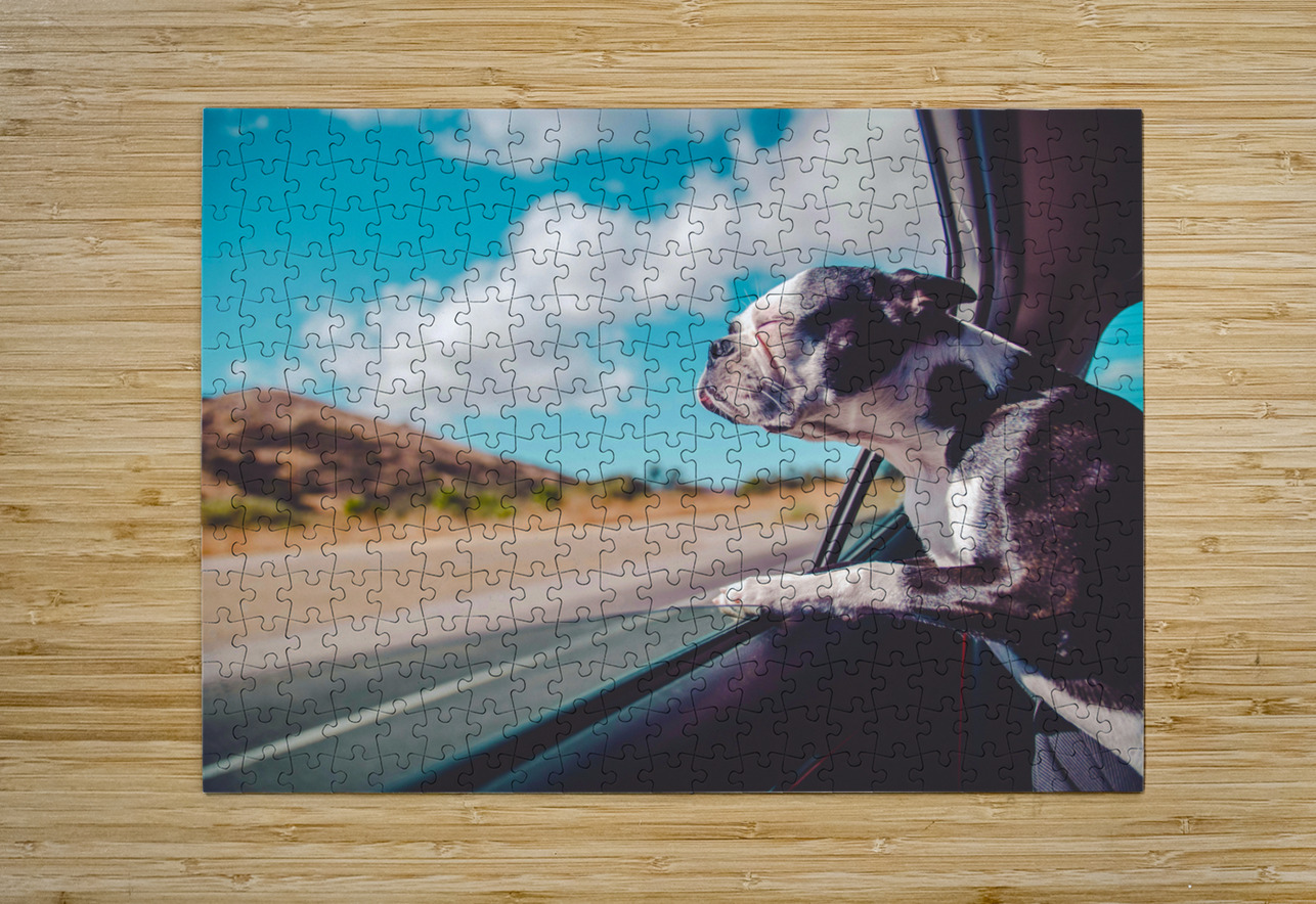 Boston Terrier Dog  One Simple Gallery Puzzle printing