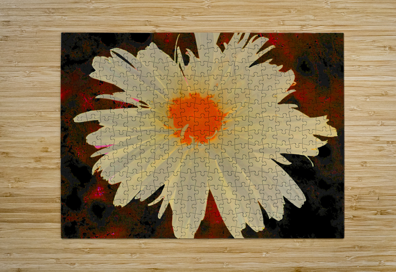 Abstract Orange Daisy with Abstract Background Catriona Roberts Nature Photography and Designs Puzzle printing