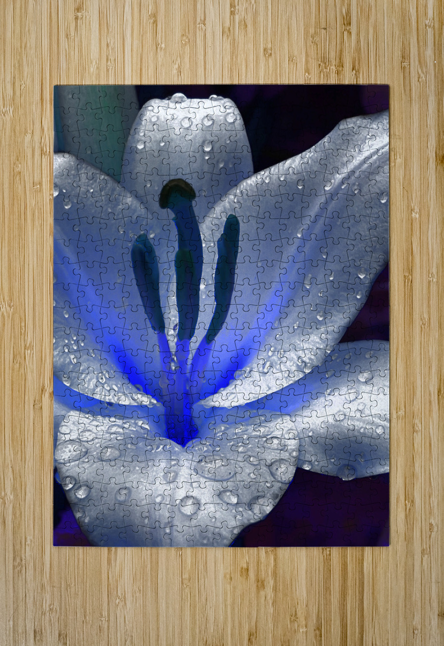 Abstract Dew Drop Lily Catriona Roberts Nature Photography and Designs Puzzle printing