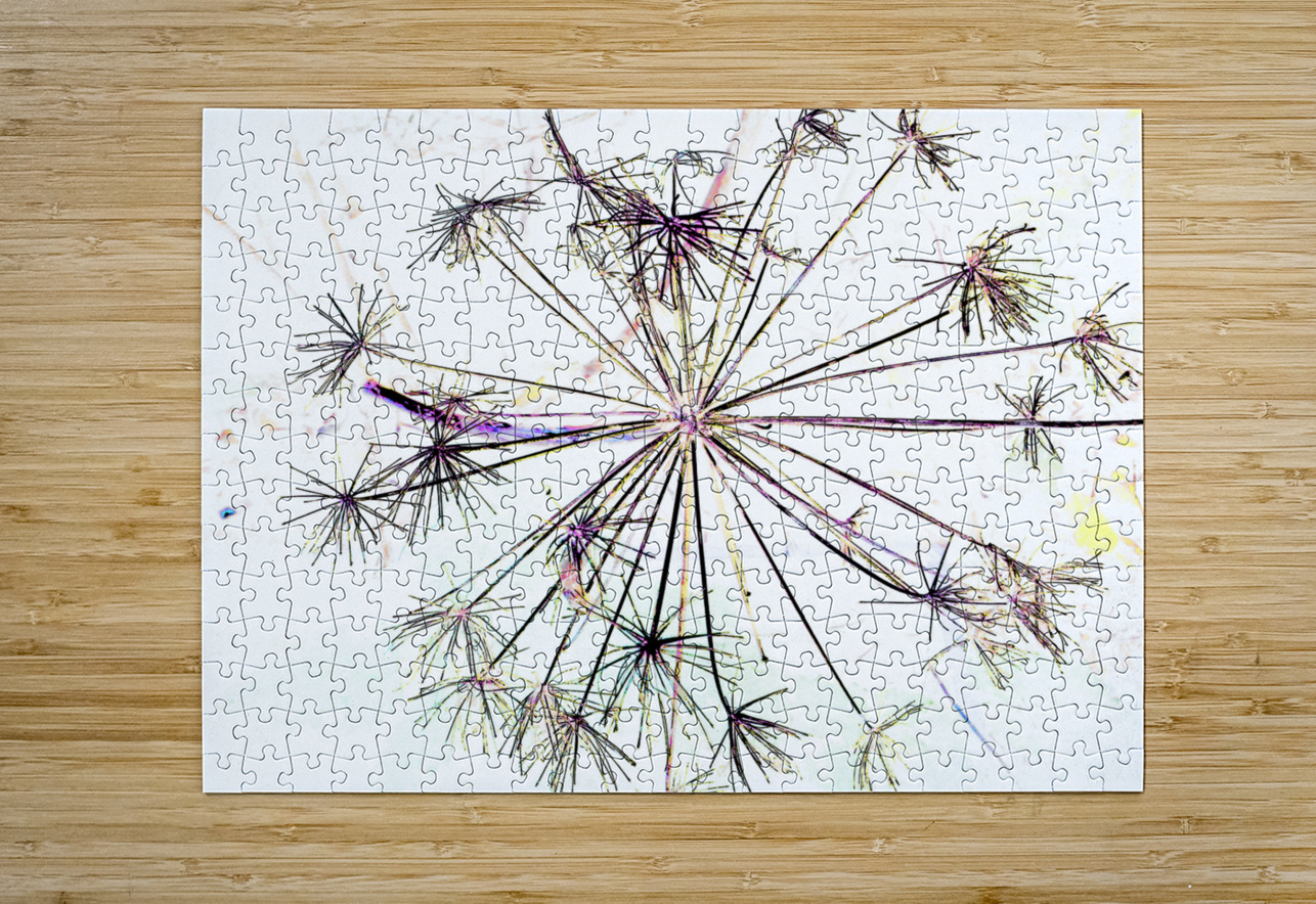 Angelica in the Morning  Catriona Roberts Nature Photography and Designs Puzzle printing