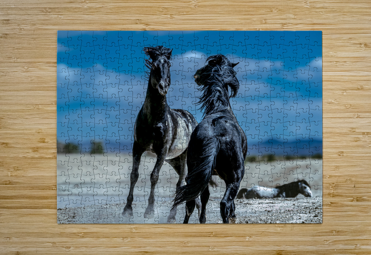 BZ9 4565 Enhanced NR Susan Lynn Cooke Puzzle printing