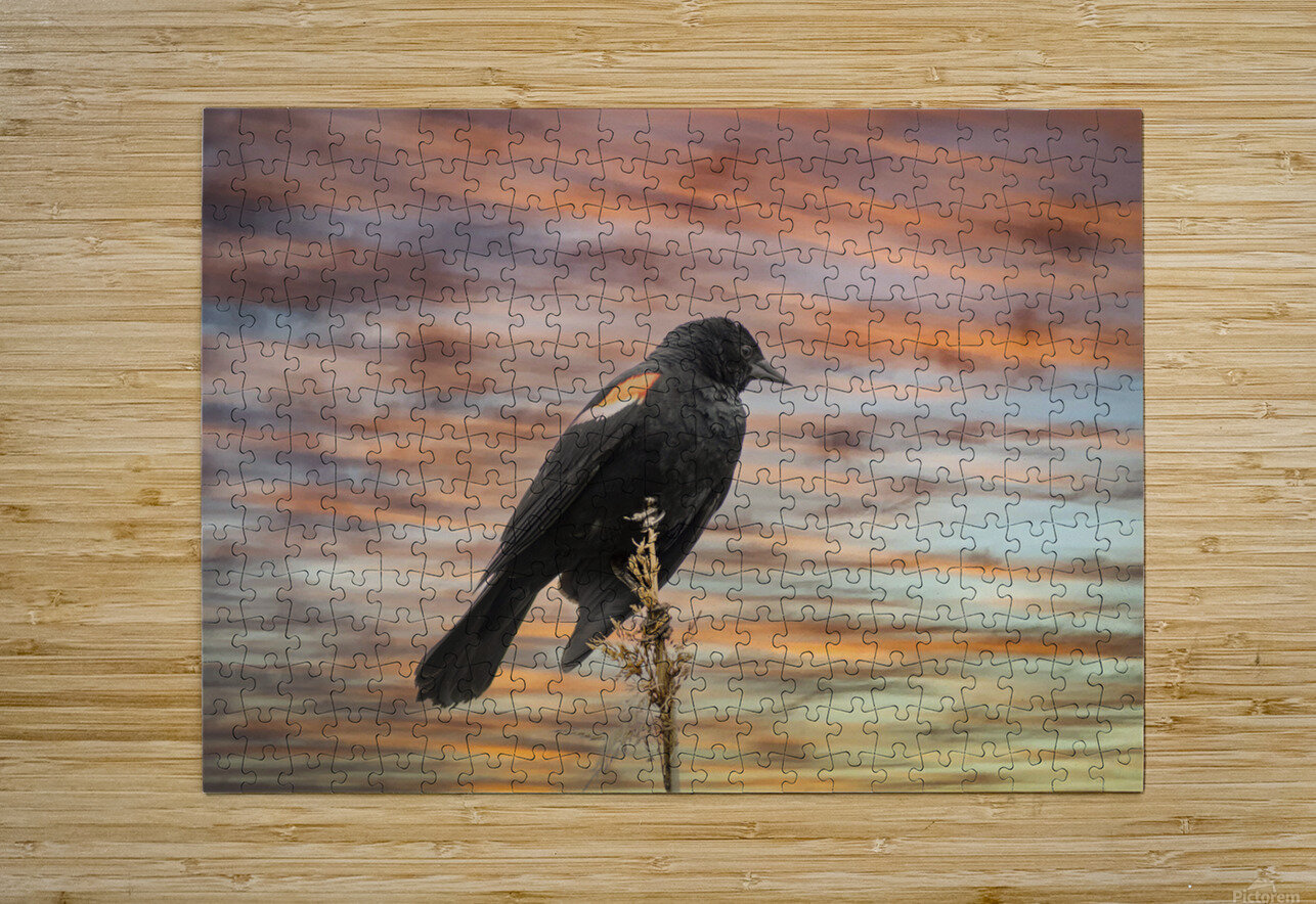 Silhouette Birds Sunset Toozastro Puzzle printing