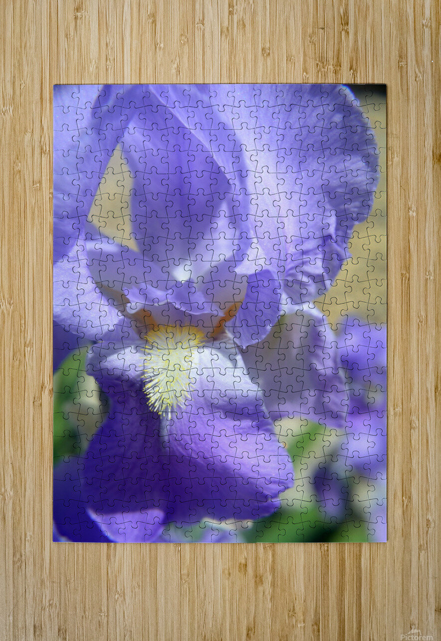 Light Purple Bearded Iris Michelle K Wood Puzzle printing