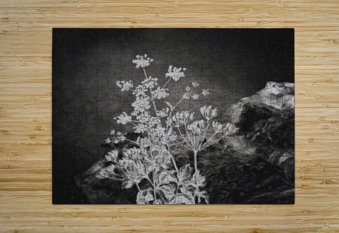 Fields of Home Christine Wise Puzzle printing