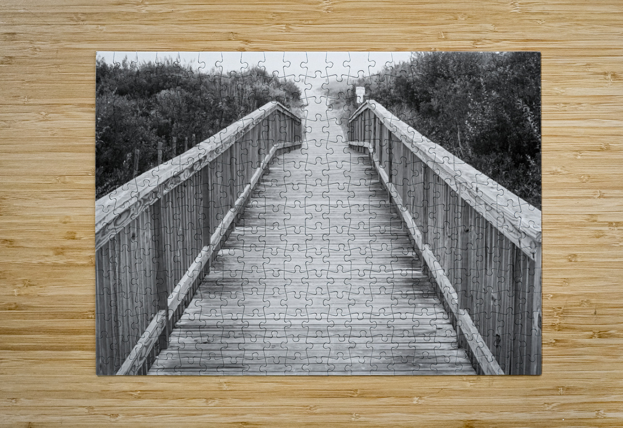 A Walk to the Beach   Black and White Jason Fink Puzzle printing