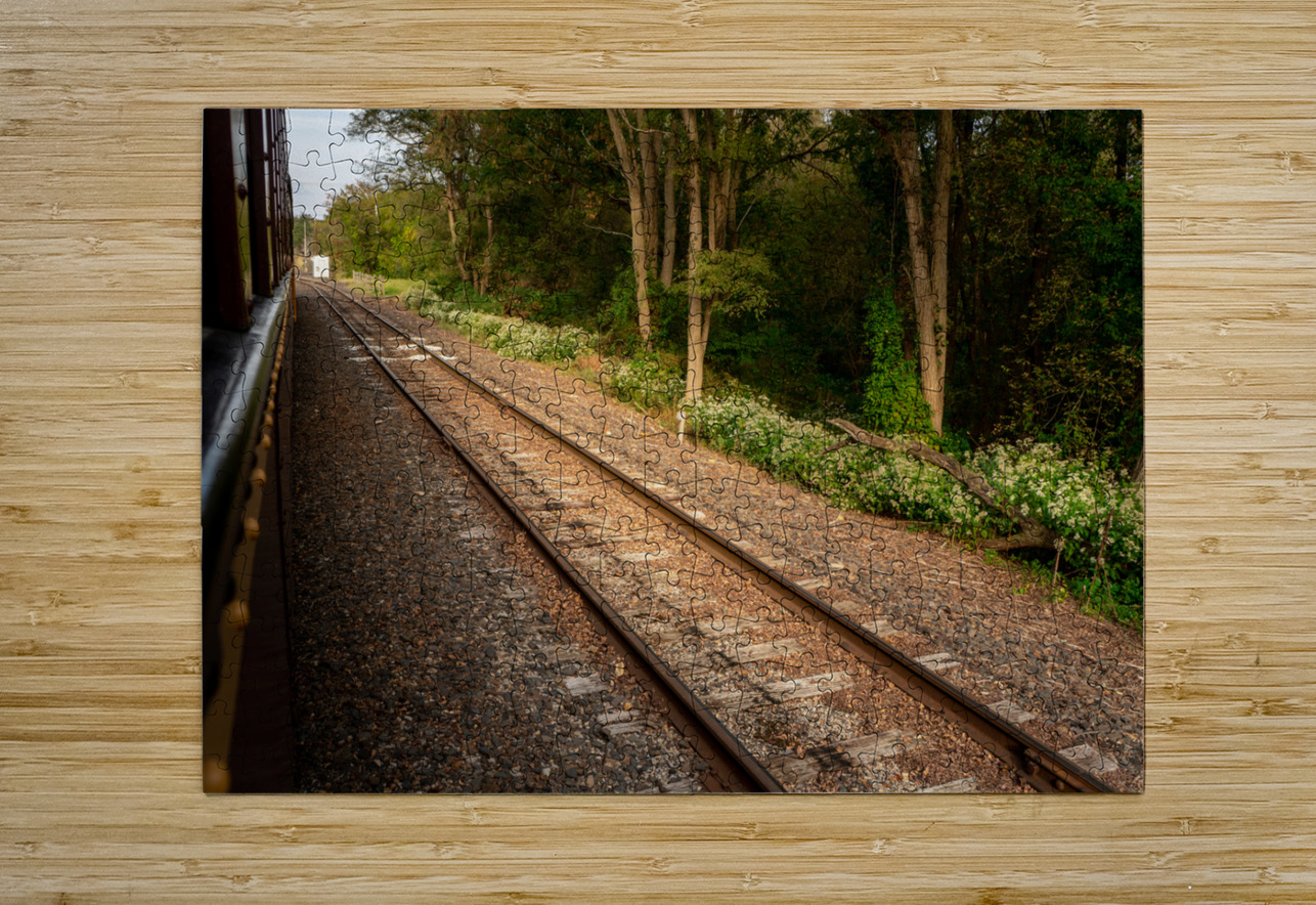 Riding Down the New Hope Rails Jason Fink Puzzle printing