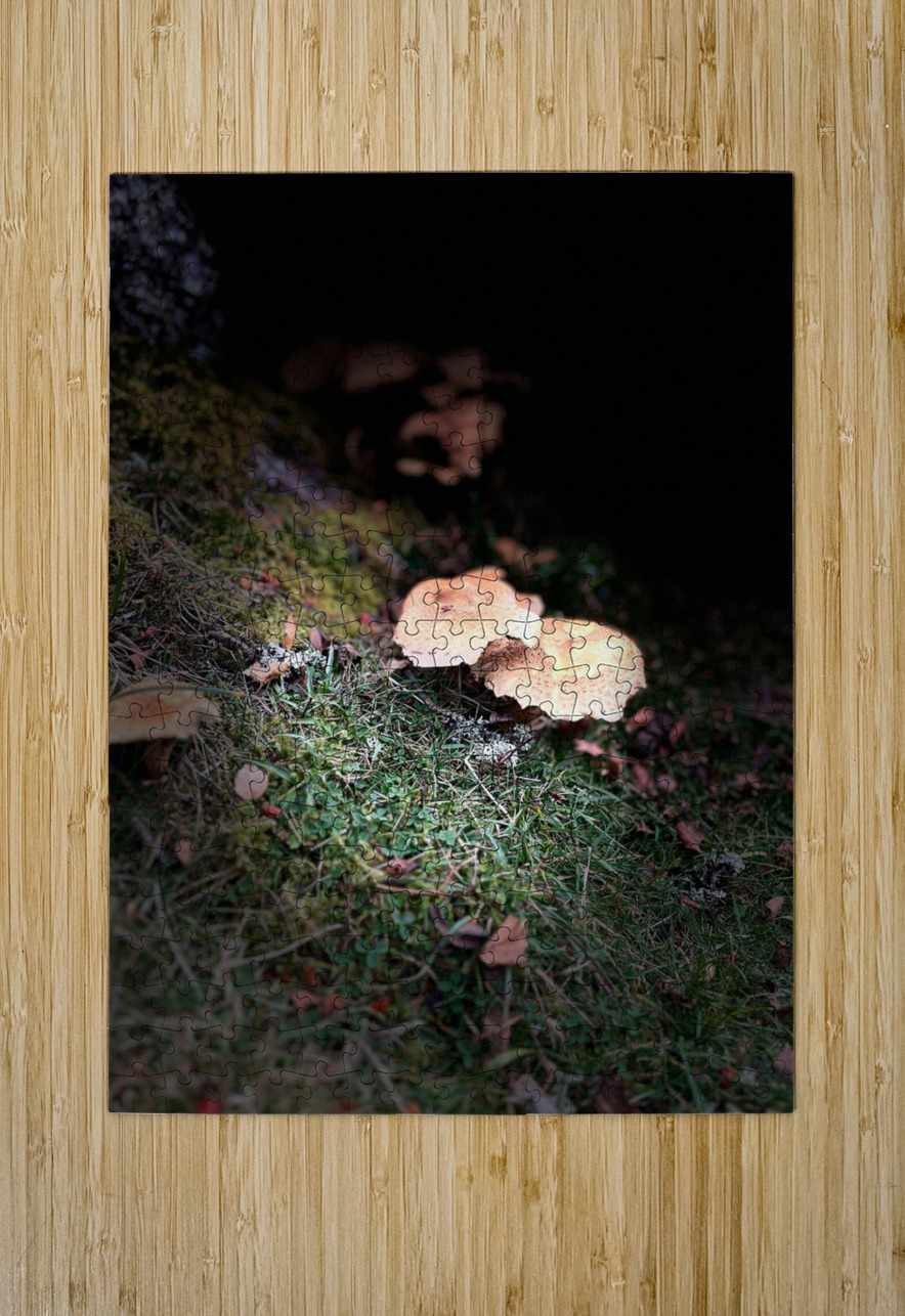 Scenes from the Trail- Forest Mushrooms Catriona Roberts Nature Photography and Designs Puzzle printing