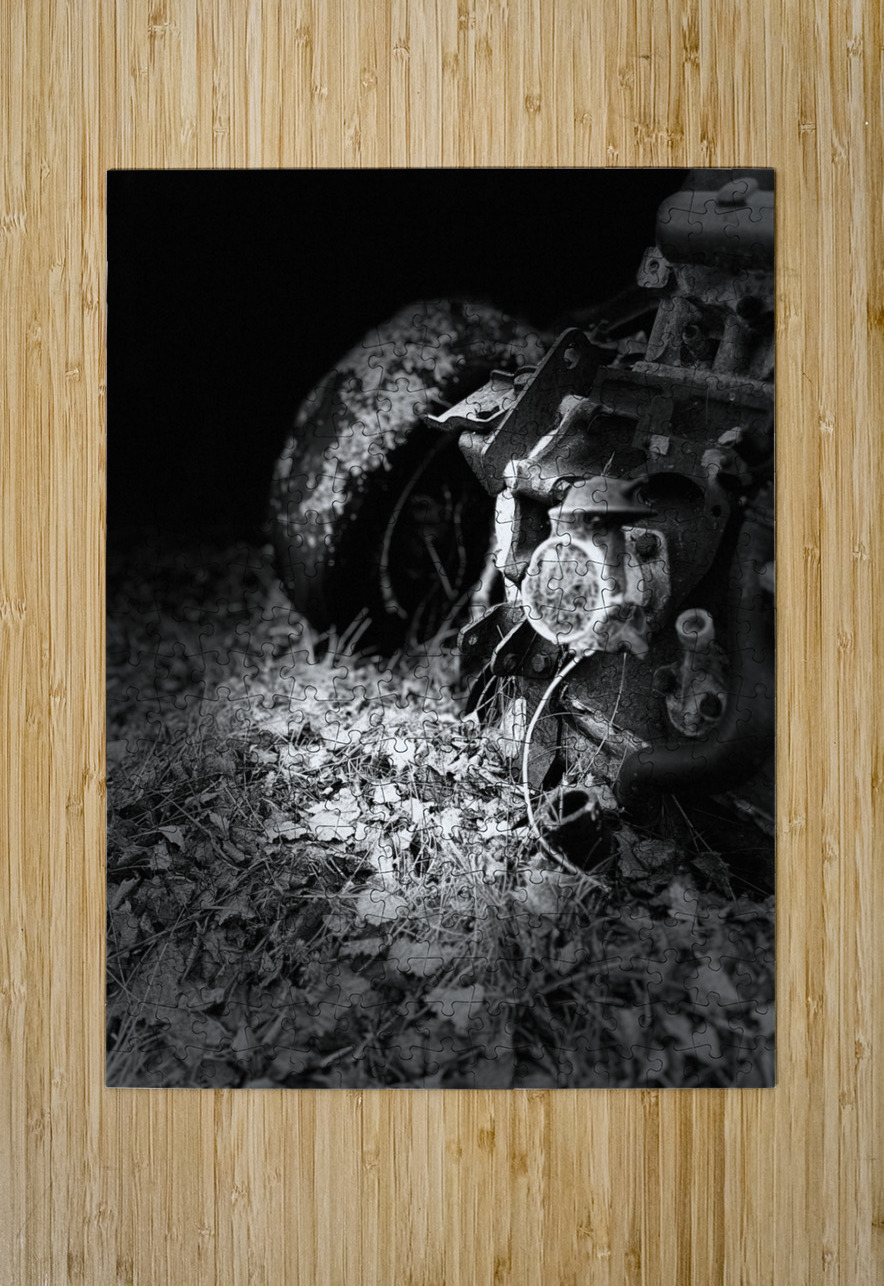 Scenes from the Trail- Disintegration Catriona Roberts Nature Photography and Designs Puzzle printing