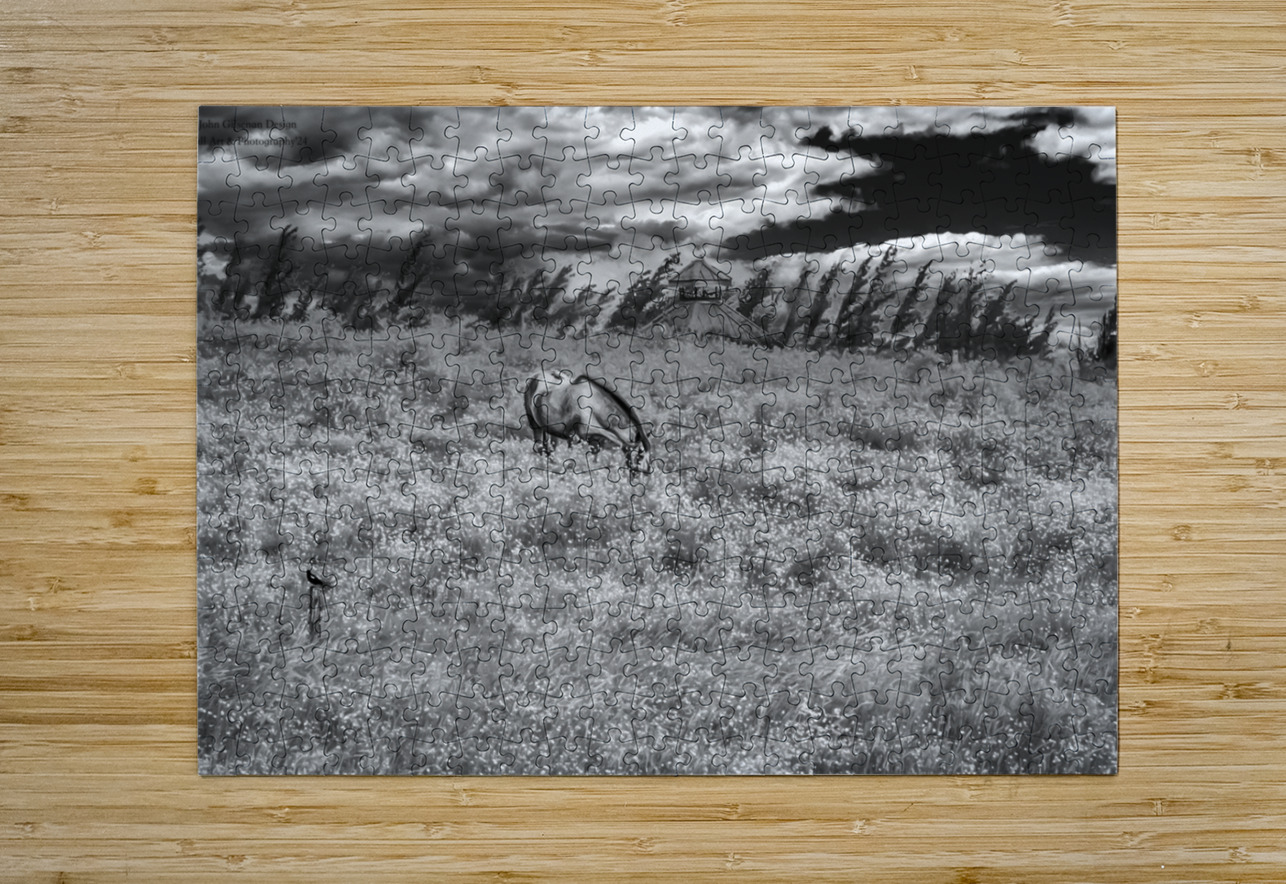 11552 Grazing in the Fields John Gilsenan  Puzzle printing