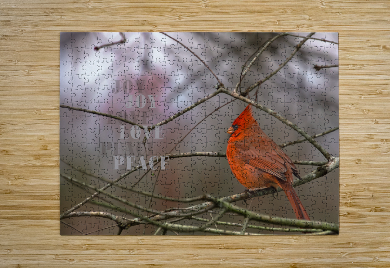 Red Cardinal Bird Joy Love Peace Norma Brandsberg Photography Puzzle printing