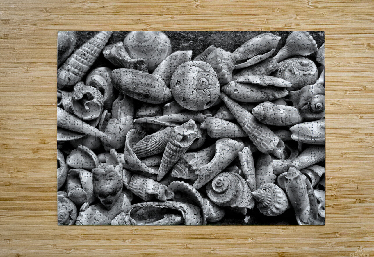 20150810 091616 01 01 01300 David Cochran Puzzle printing