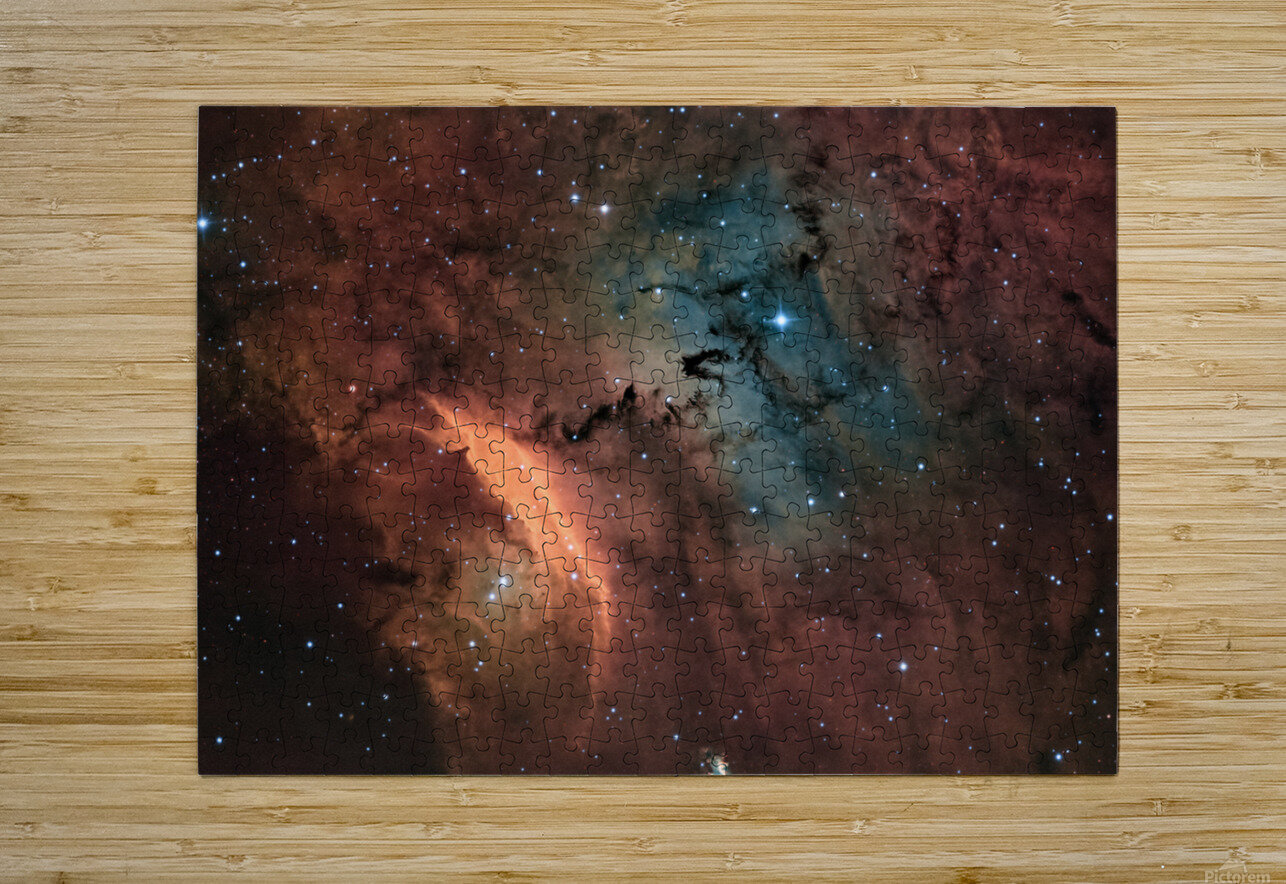 IC 4685 Toozastro Puzzle printing