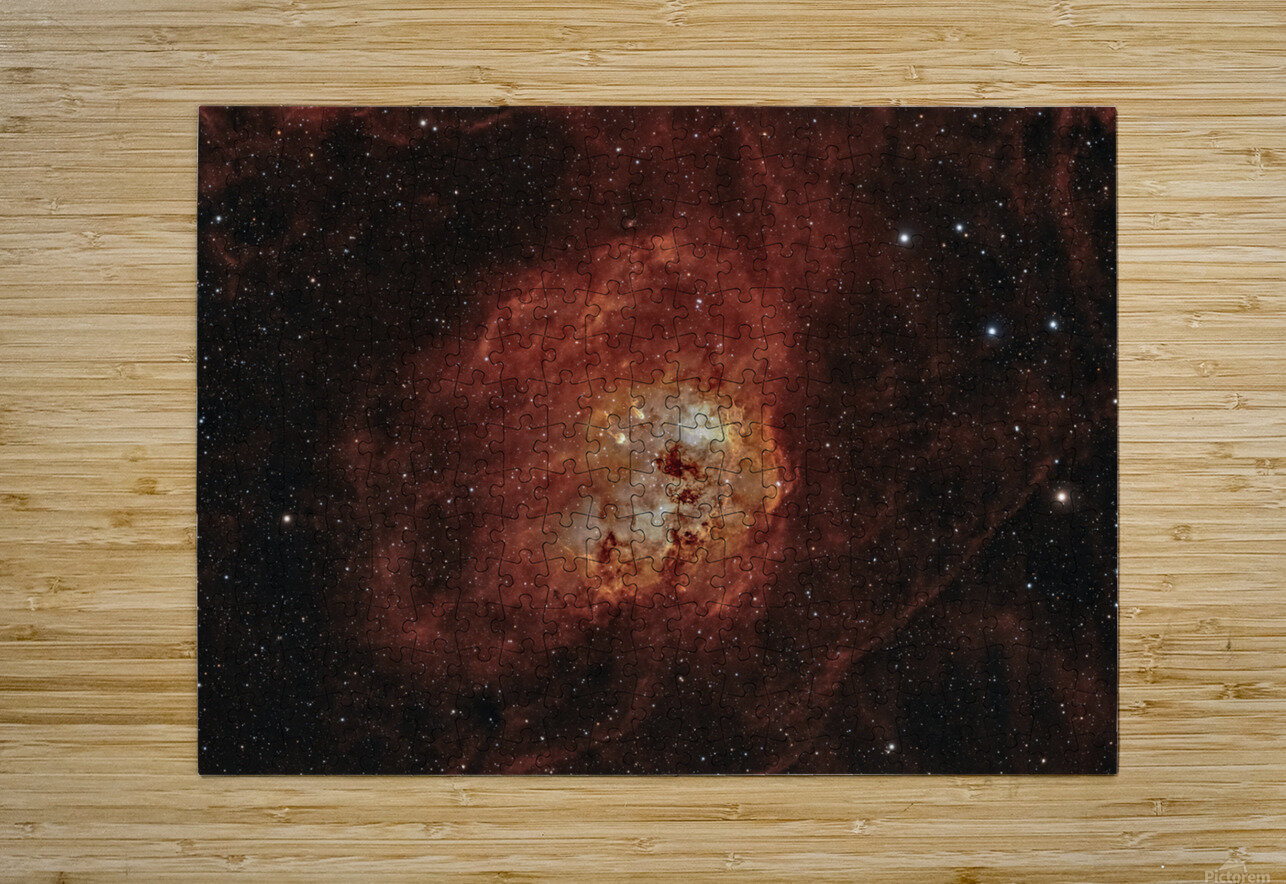 Tadpole Nebula Toozastro Puzzle printing