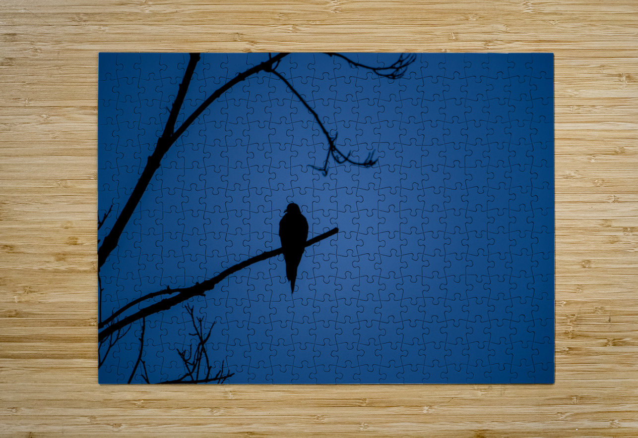 Bird Silhouette Dark Blue Jason Fink Puzzle printing