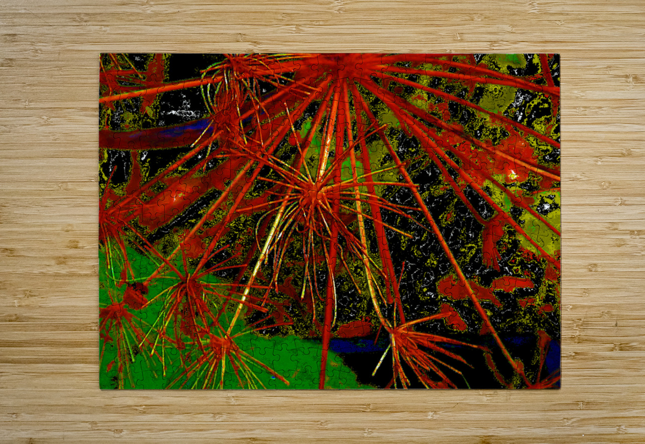Abstract Angelica Catriona Roberts Nature Photography and Designs Puzzle printing